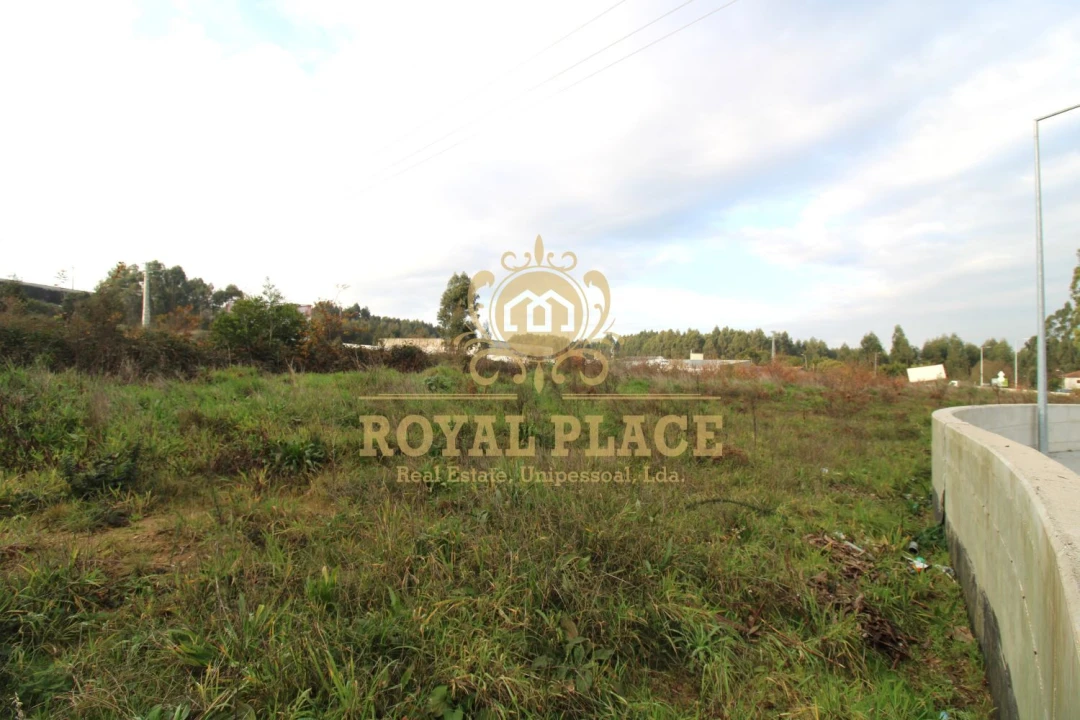 Terreno para Venda em Sanguedo Foto 7