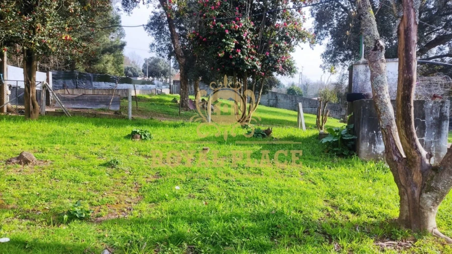 Terreno para Venda em Santa Maria da Feira, Travanca, Sanfins e Espargo