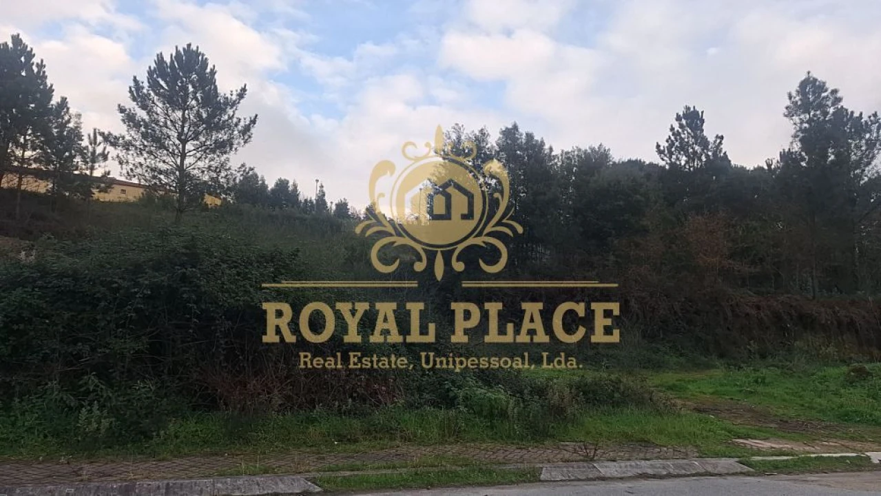 Terreno para Venda em Pinheiro da Bemposta, Travanca e Palmaz Foto 3