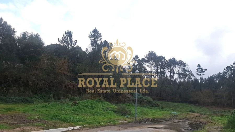 Terreno para Venda em Pinheiro da Bemposta, Travanca e Palmaz Foto 1