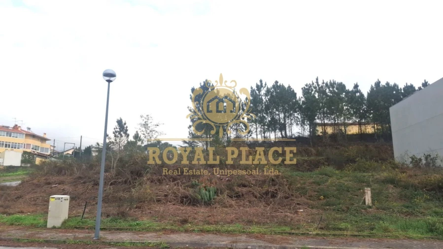 Terreno para Venda em Pinheiro da Bemposta, Travanca e Palmaz Foto 2