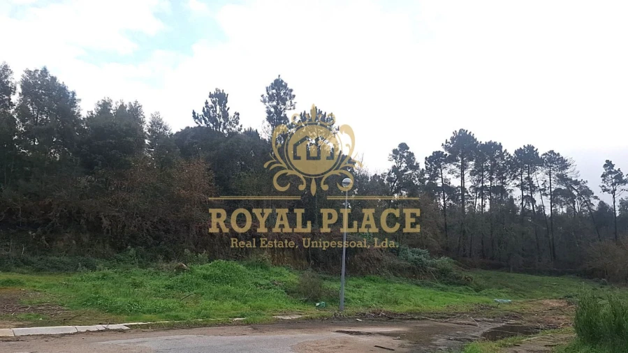 Terreno para Venda em Pinheiro da Bemposta, Travanca e Palmaz Foto 4