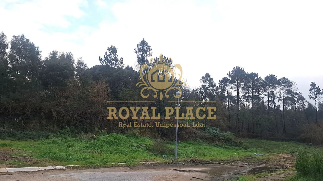 Terreno para Venda em Pinheiro da Bemposta, Travanca e Palmaz Foto 4