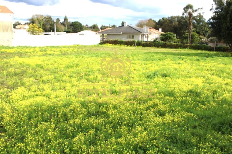 Terreno para Venda em Paços de Brandão Foto 3