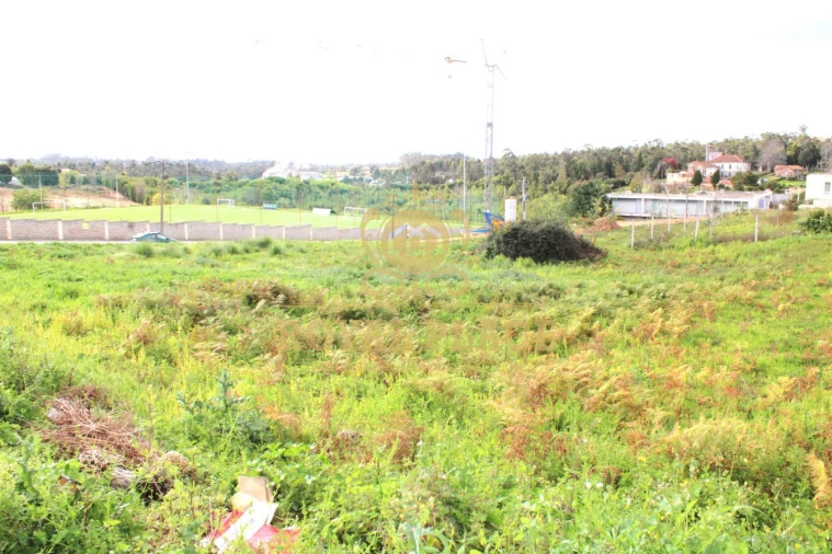 Terreno para Venda em Paços de Brandão Foto 5