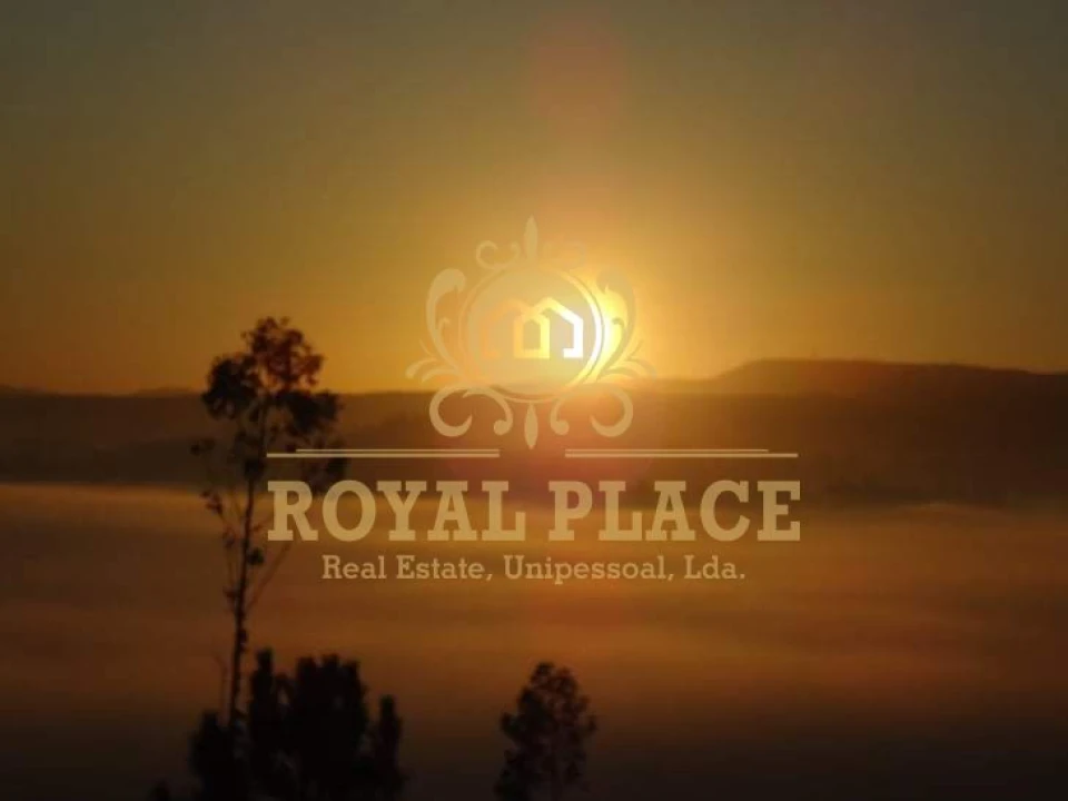 Terreno para Venda em Sanguedo Foto 11