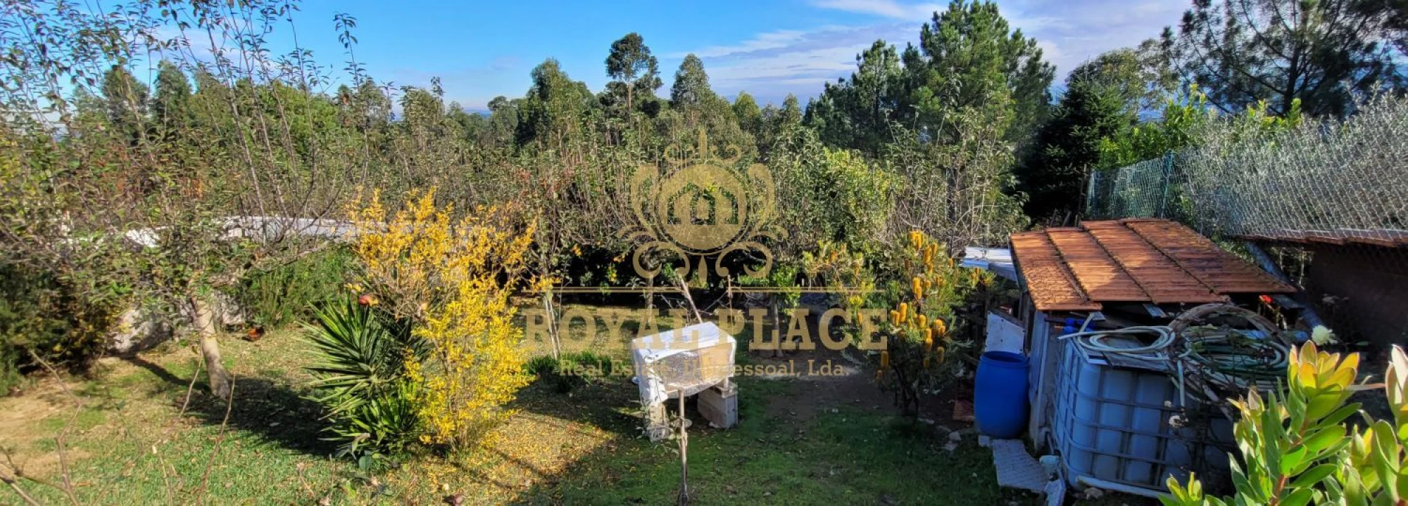 Terreno para Venda em Sanguedo Foto 6