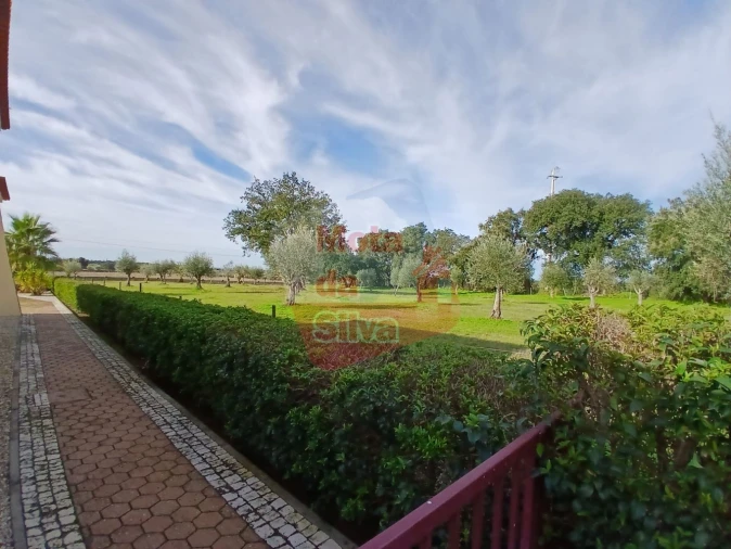 Quinta T4 para Venda em Cabeço de Vide Foto 26