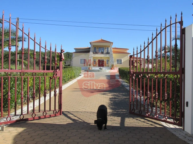 Quinta T4 para Venda em Cabeço de Vide Foto 5