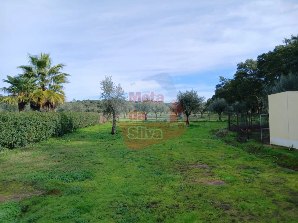 Quinta T4 para Venda em Cabeço de Vide Foto 29