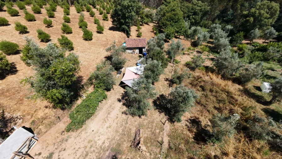 Moradia T2 para Venda em Aguas Belas Foto 8