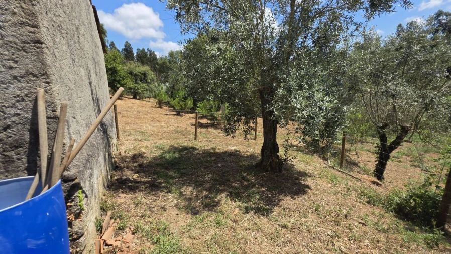 Moradia T2 para Venda em Aguas Belas Foto 56