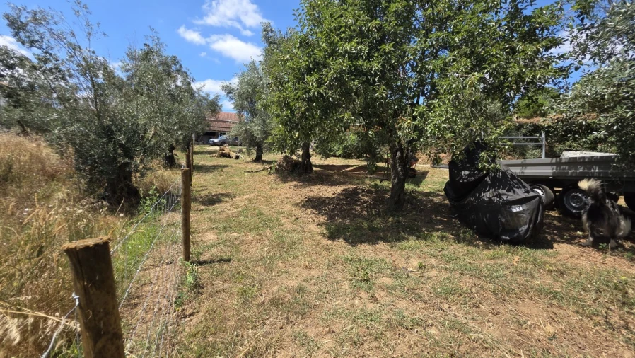 Moradia T2 para Venda em Aguas Belas Foto 49