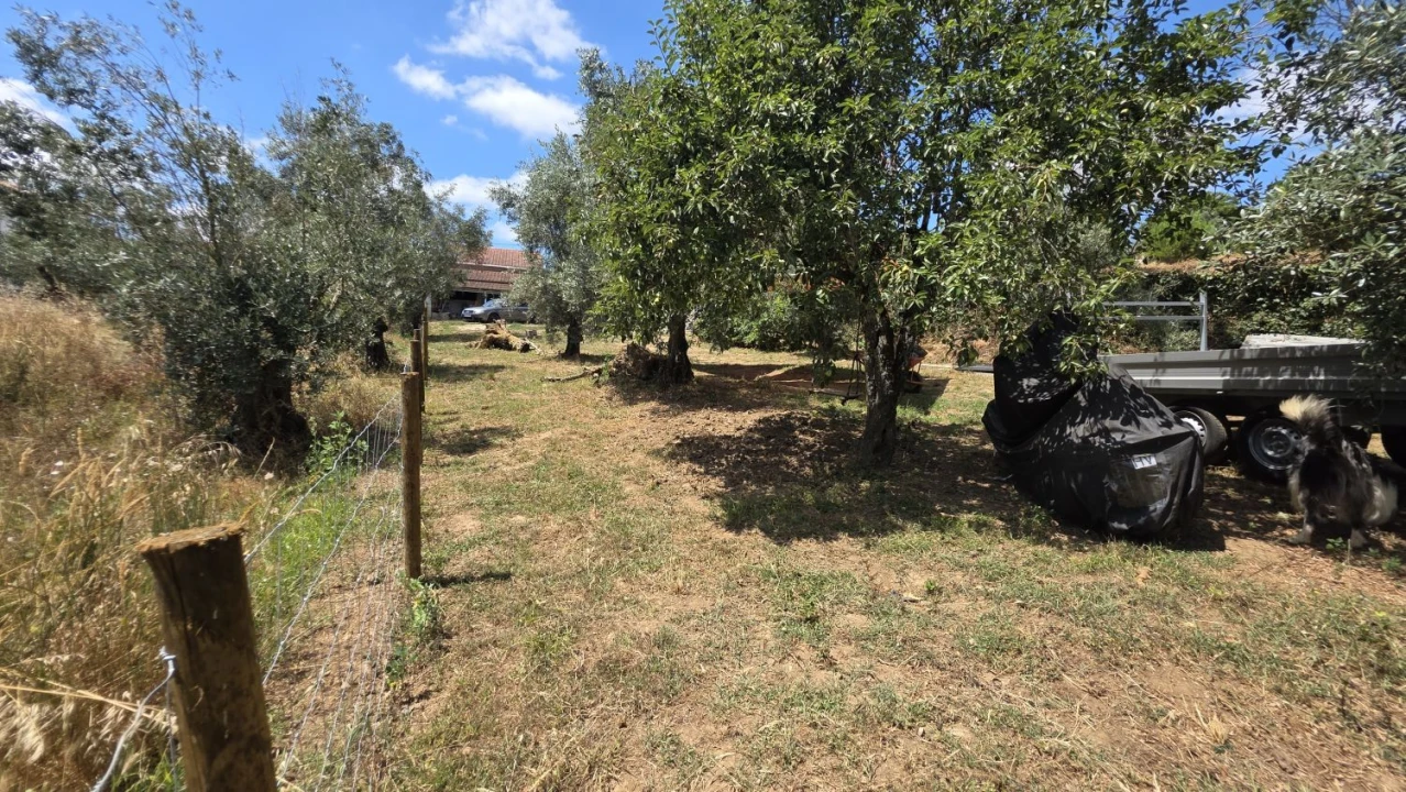 Moradia T2 para Venda em Aguas Belas Foto 49