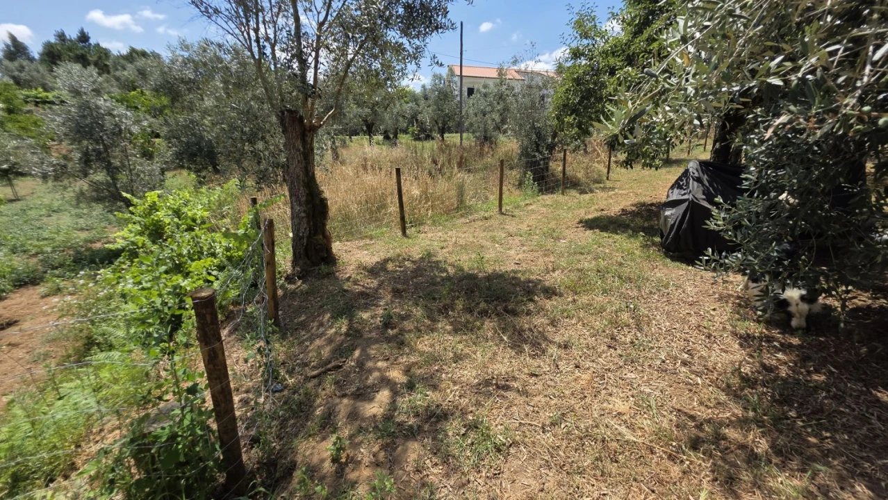 Moradia T2 para Venda em Aguas Belas Foto 50