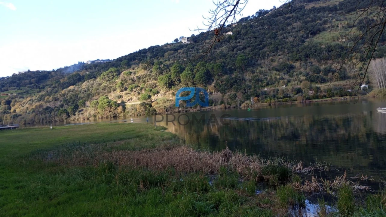 Moradia T2 para Venda em São Martinho de Mouros Foto 55