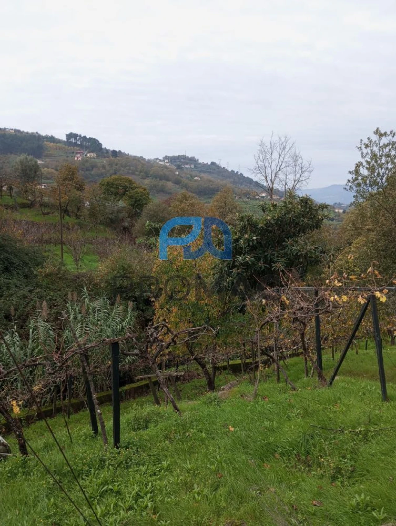 Moradia T2 para Venda em São Martinho de Mouros Foto 42