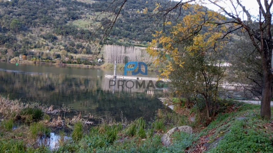 Moradia T2 para Venda em São Martinho de Mouros Foto 54