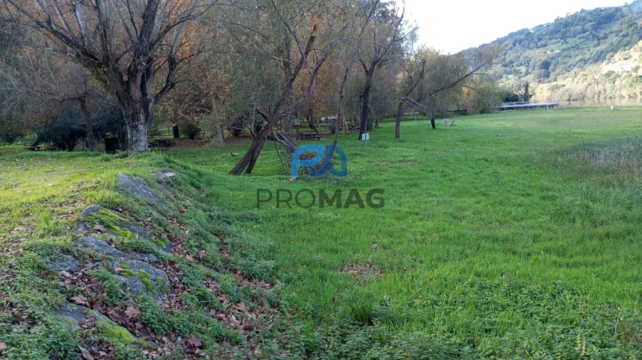 Moradia T2 para Venda em São Martinho de Mouros Foto 50