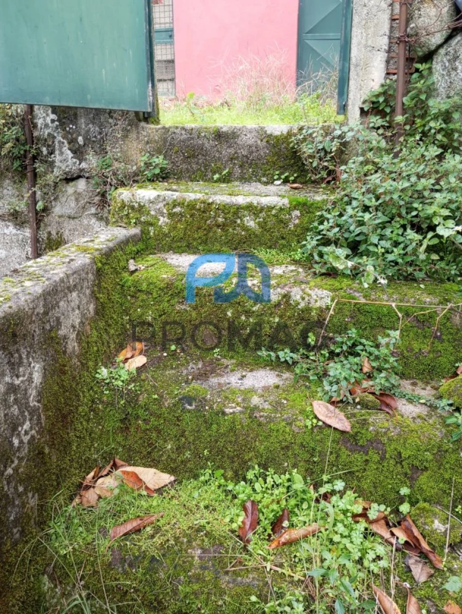 Moradia T2 para Venda em São Martinho de Mouros Foto 38