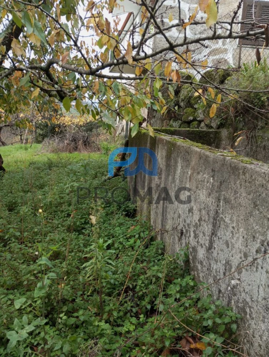 Moradia T2 para Venda em São Martinho de Mouros Foto 31