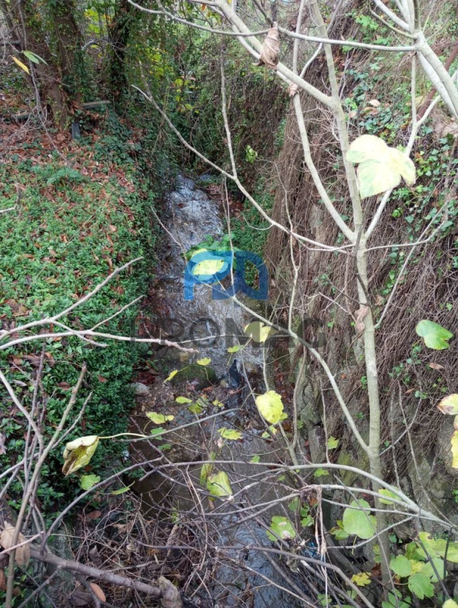 Moradia T2 para Venda em São Martinho de Mouros Foto 43