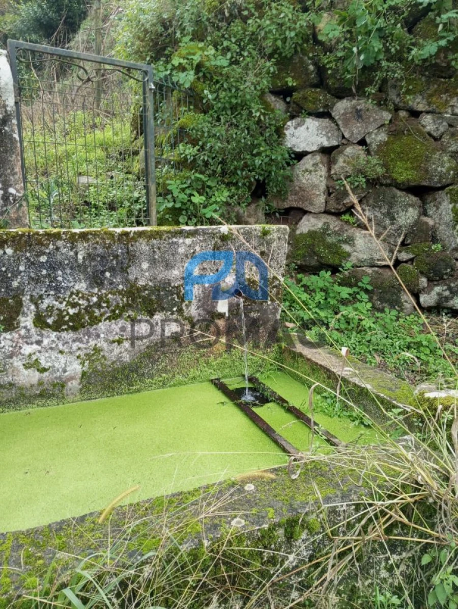 Moradia T2 para Venda em São Martinho de Mouros Foto 35