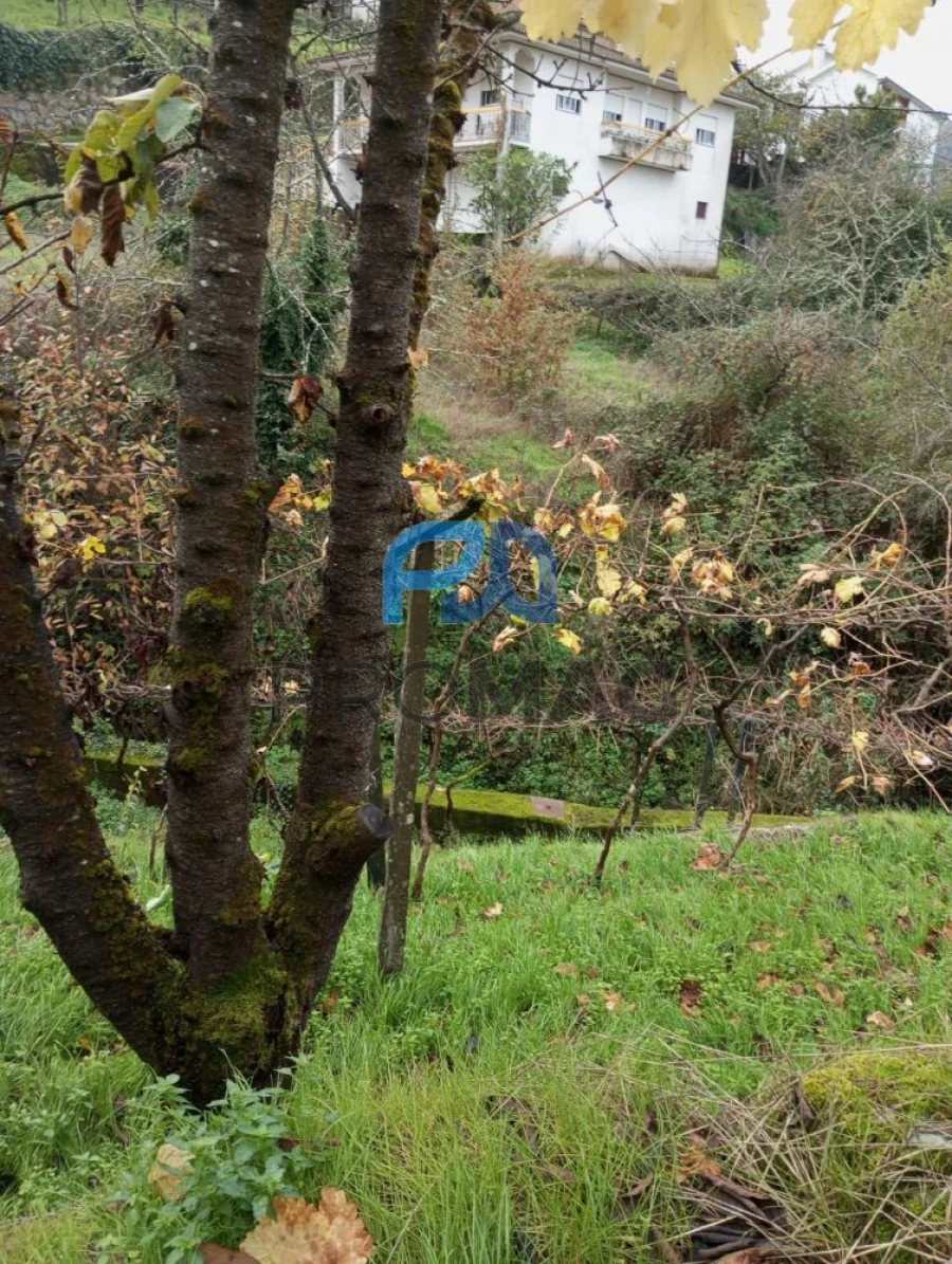 Moradia T2 para Venda em São Martinho de Mouros Foto 30