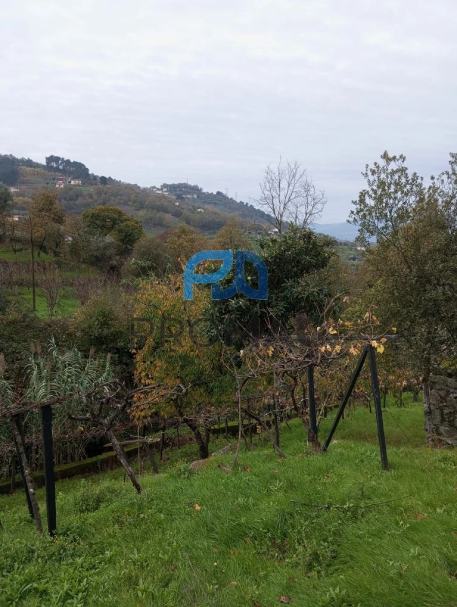 Moradia T2 para Venda em São Martinho de Mouros Foto 39