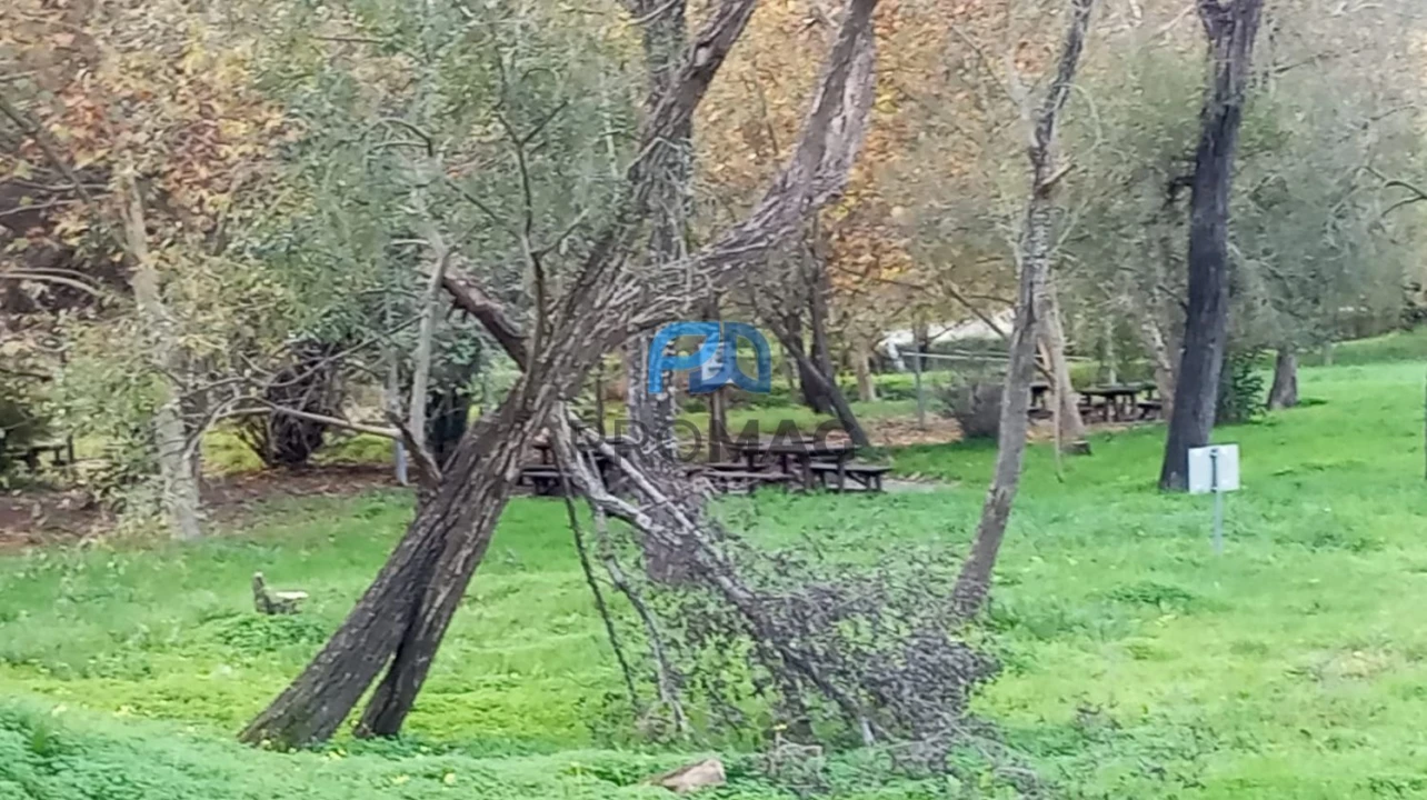 Moradia T2 para Venda em São Martinho de Mouros Foto 49