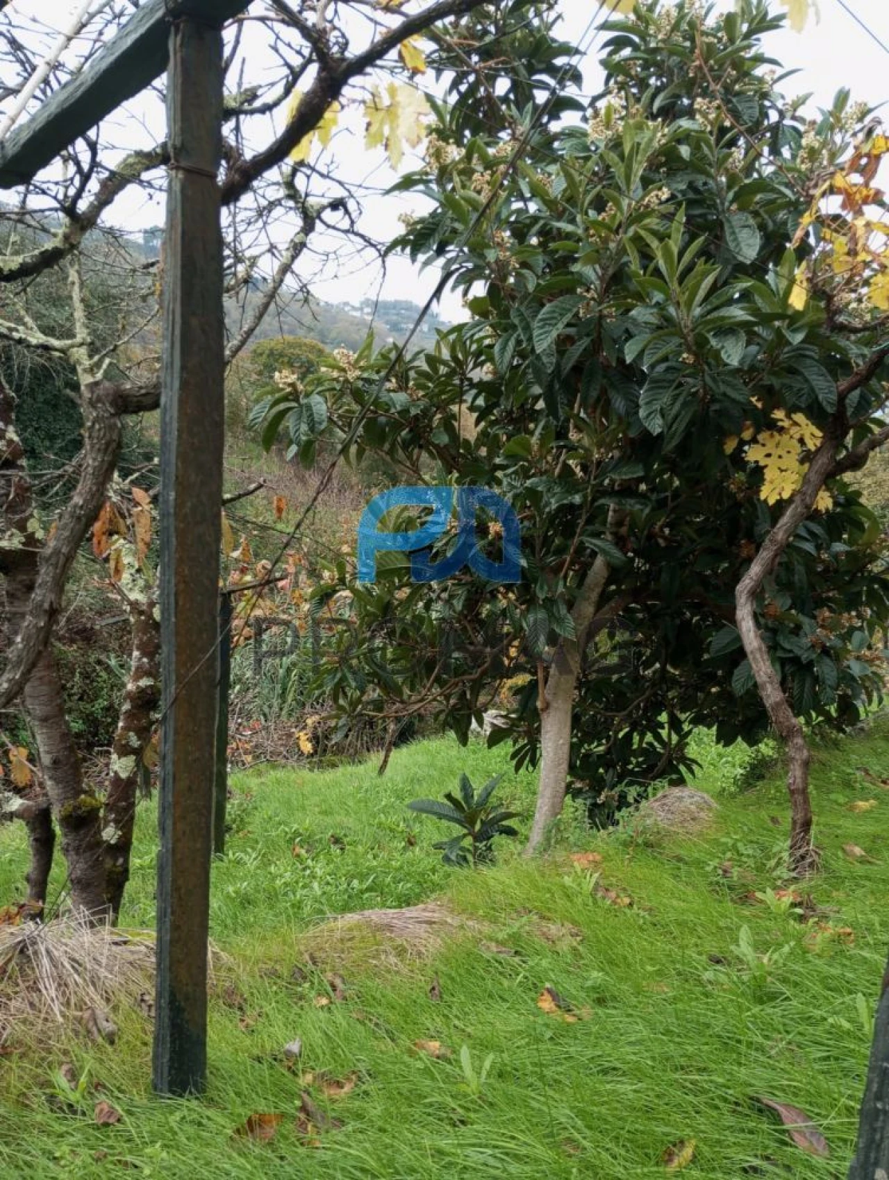 Moradia T2 para Venda em São Martinho de Mouros Foto 40