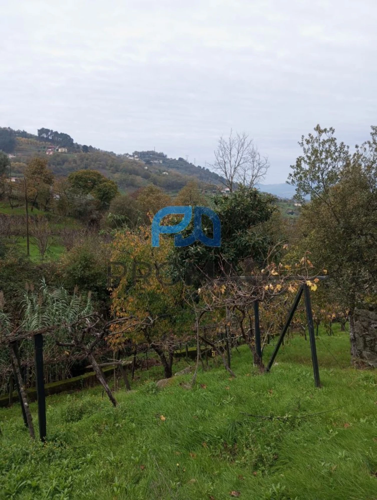 Moradia T2 para Venda em São Martinho de Mouros Foto 39