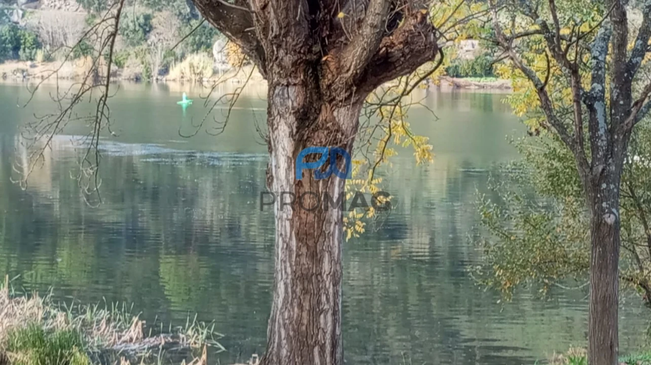 Moradia T2 para Venda em São Martinho de Mouros Foto 53