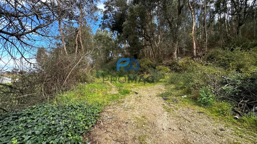 Terreno para Venda em Rebordosa Foto 13