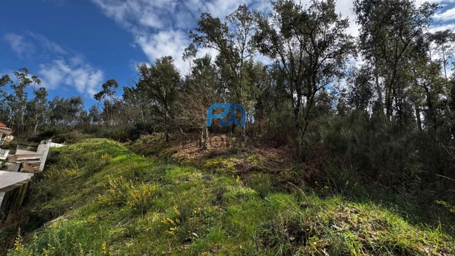 Terreno para Venda em Rebordosa Foto 16