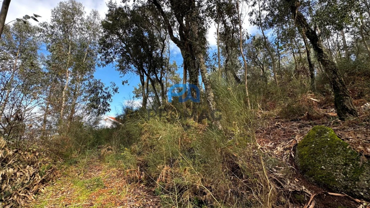 Terreno para Venda em Rebordosa Foto 15