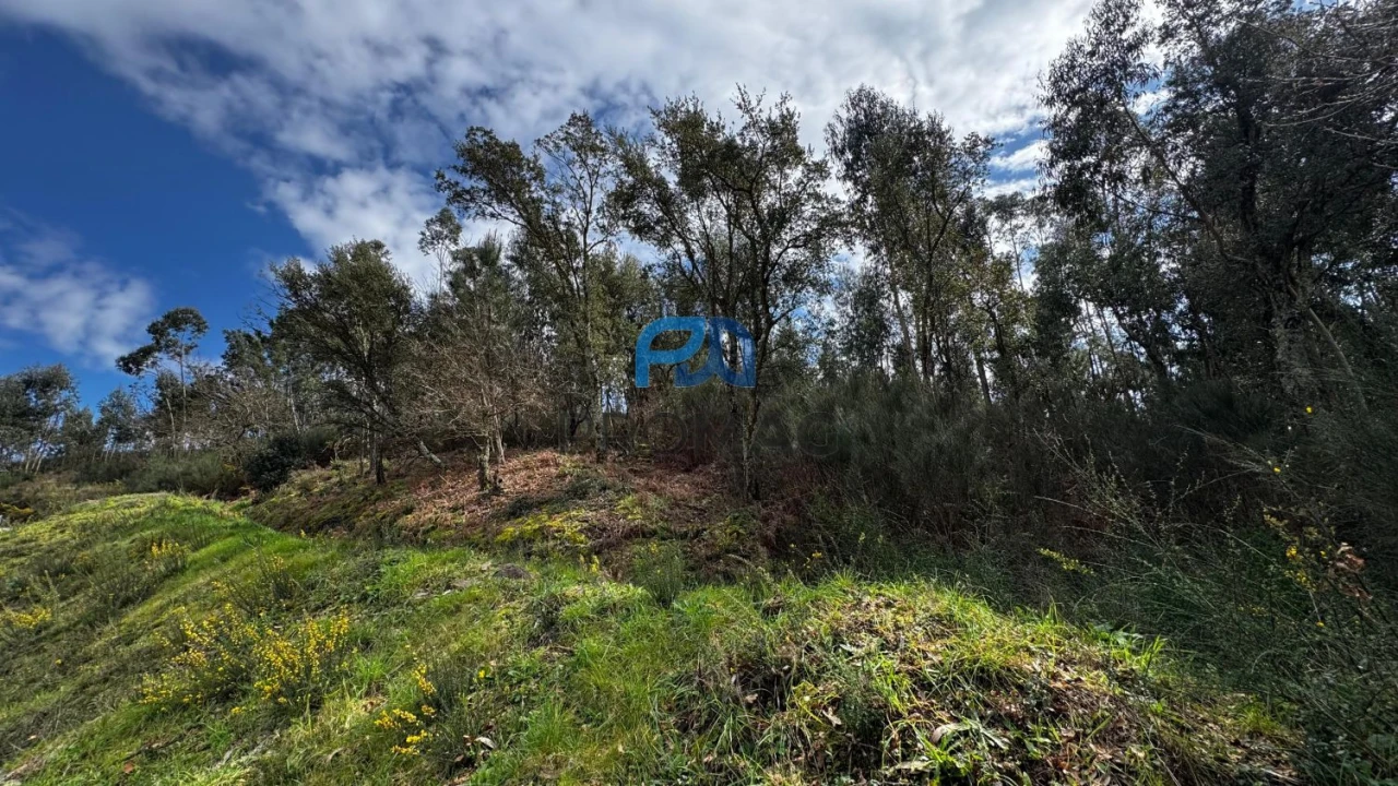 Terreno para Venda em Rebordosa Foto 17