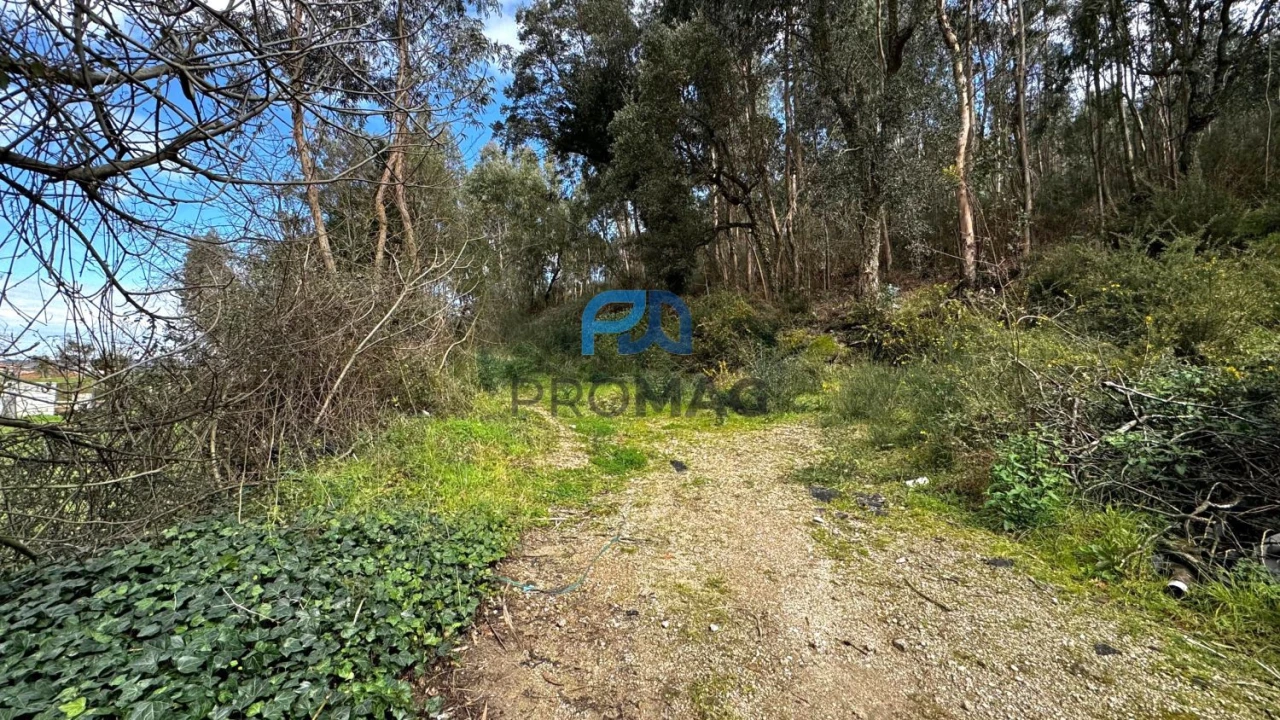 Terreno para Venda em Rebordosa Foto 13