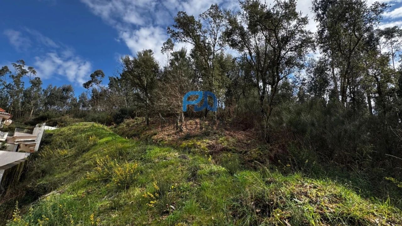 Terreno para Venda em Rebordosa Foto 16