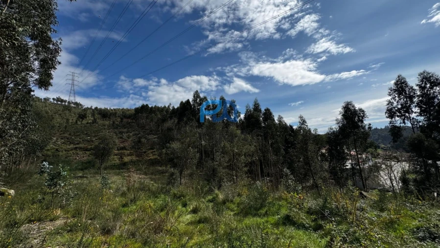 Terreno para Venda em Rebordosa Foto 20