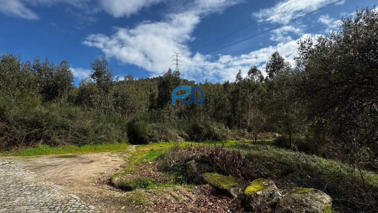 Terreno para Venda em Rebordosa Foto 13