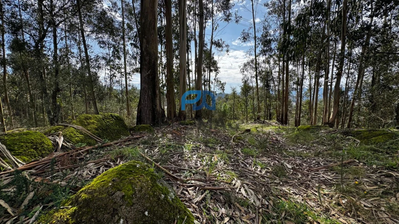Terreno para Venda em Rebordosa Foto 18