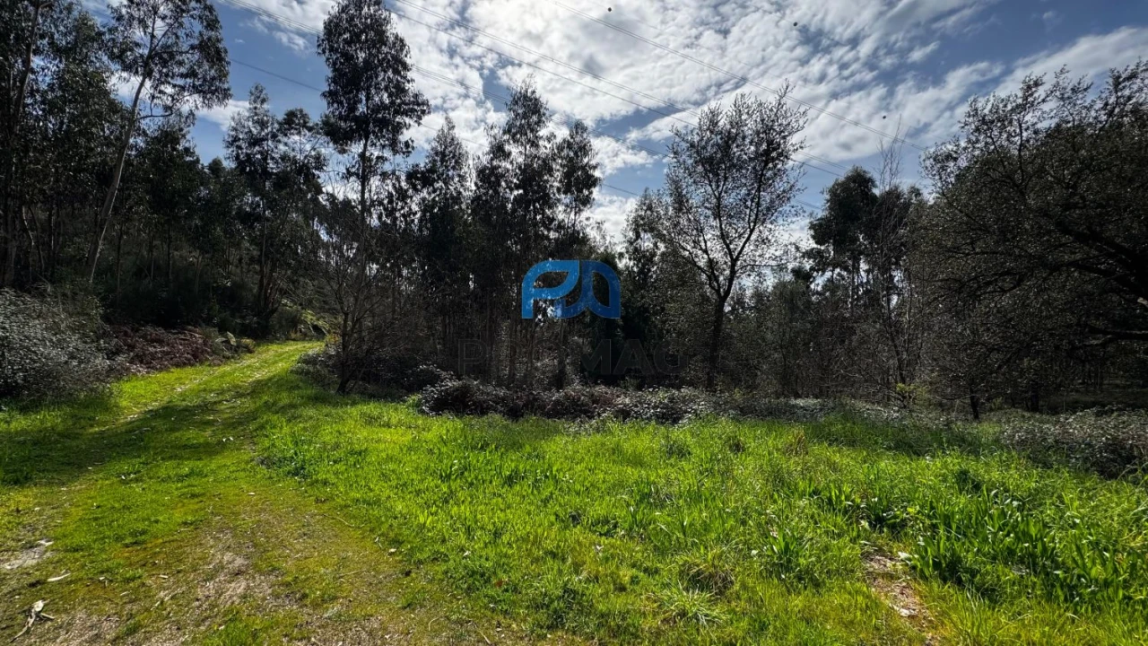 Terreno para Venda em Rebordosa Foto 14