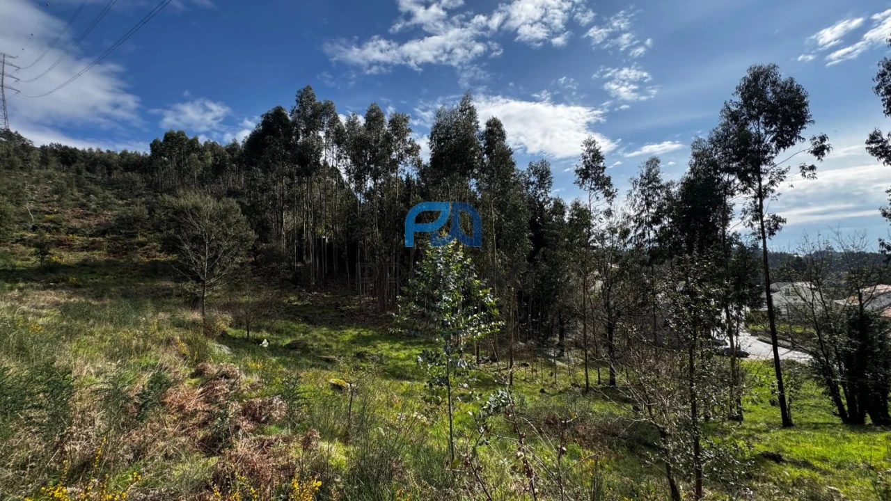 Terreno para Venda em Rebordosa Foto 21