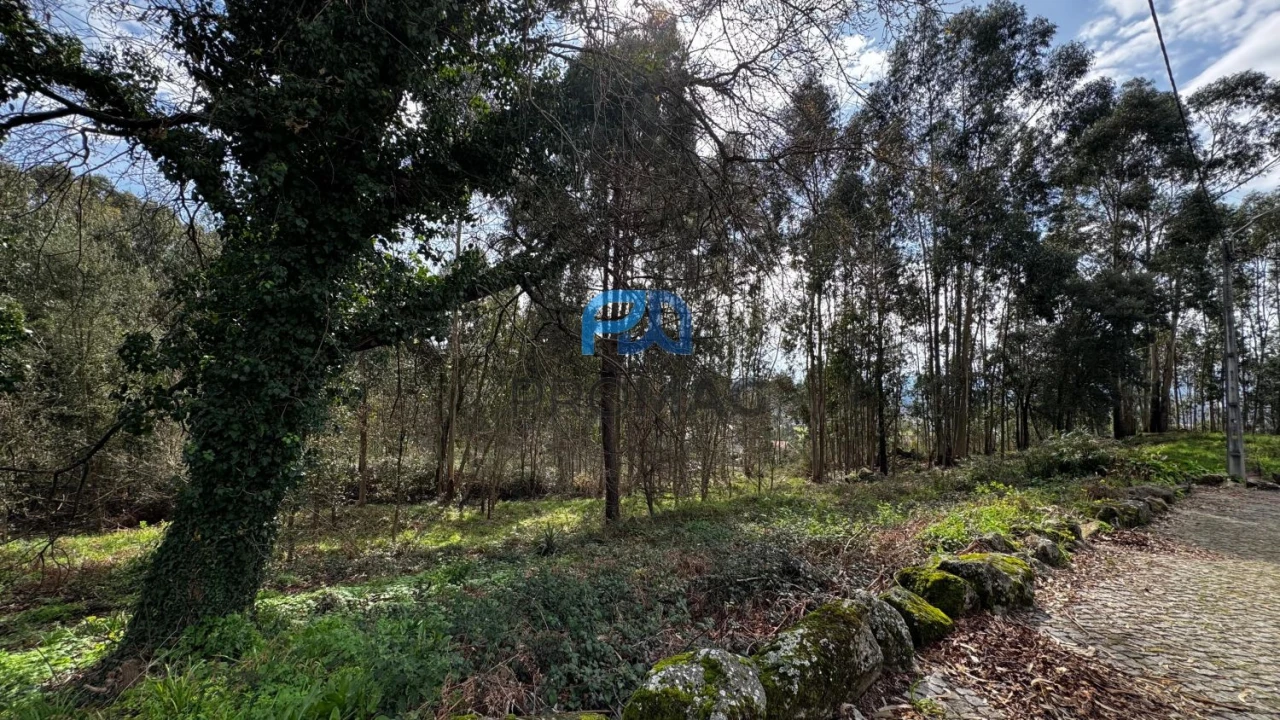 Terreno para Venda em Rebordosa Foto 12