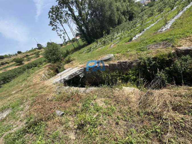 Terreno para Venda em Freixo de Cima e de Baixo Foto 13