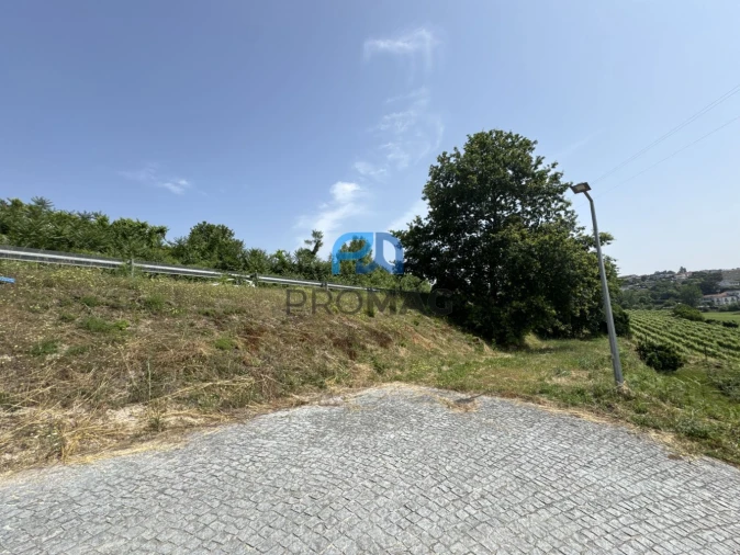 Terreno para Venda em Freixo de Cima e de Baixo Foto 6