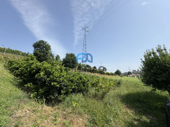 Terreno para Venda em Freixo de Cima e de Baixo Foto 18