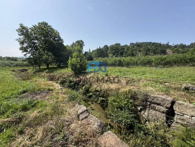 Terreno para Venda em Freixo de Cima e de Baixo Foto 15