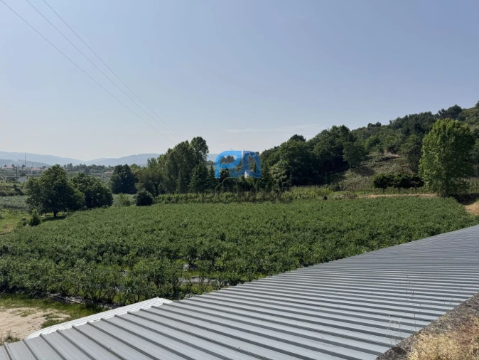 Terreno para Venda em Freixo de Cima e de Baixo Foto 20